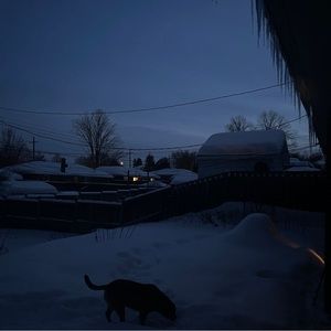 Meet your Posher, Cadence